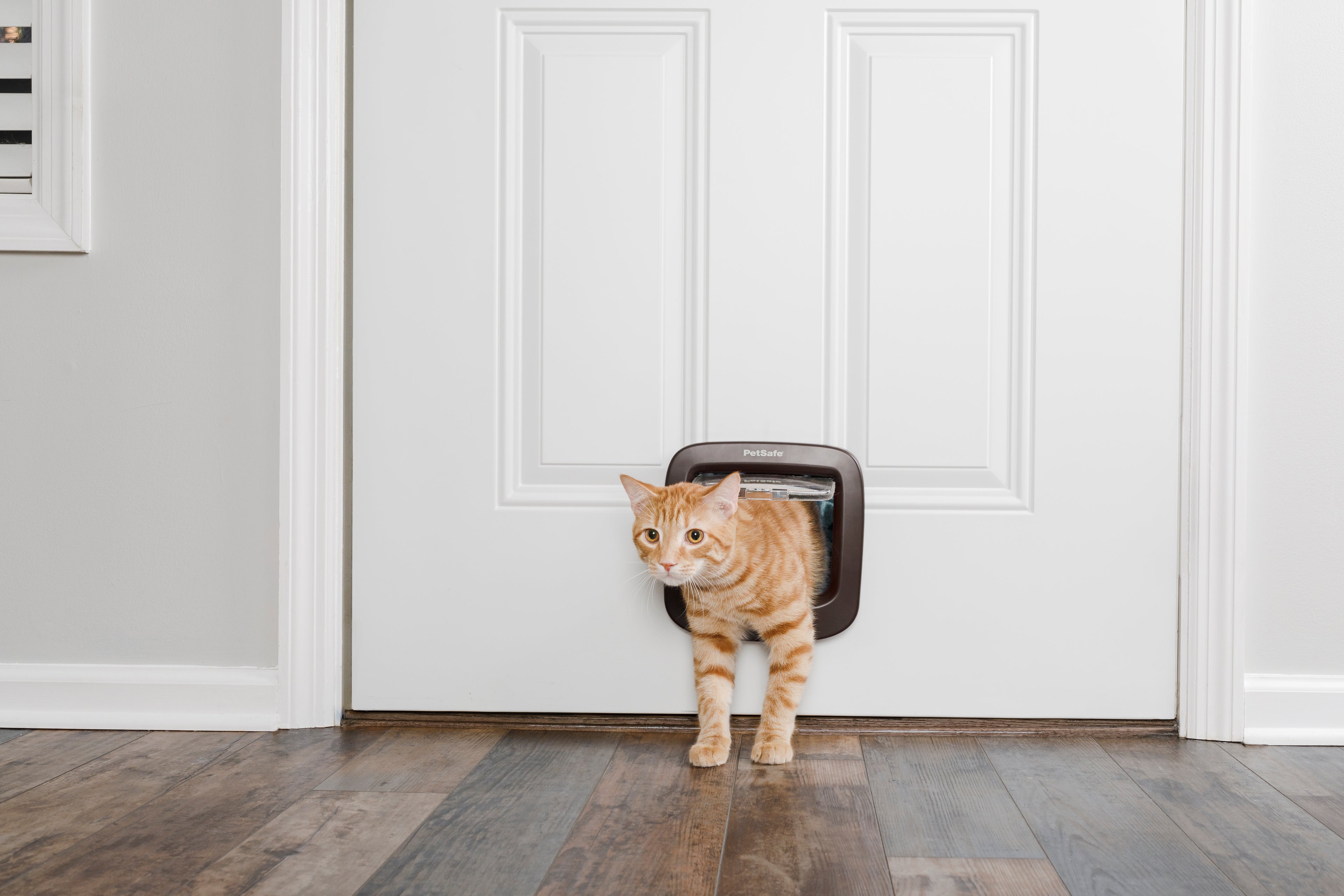 Cat door, 4-way function