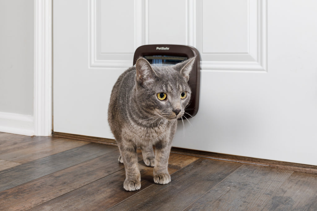 Cat door, 4-way function