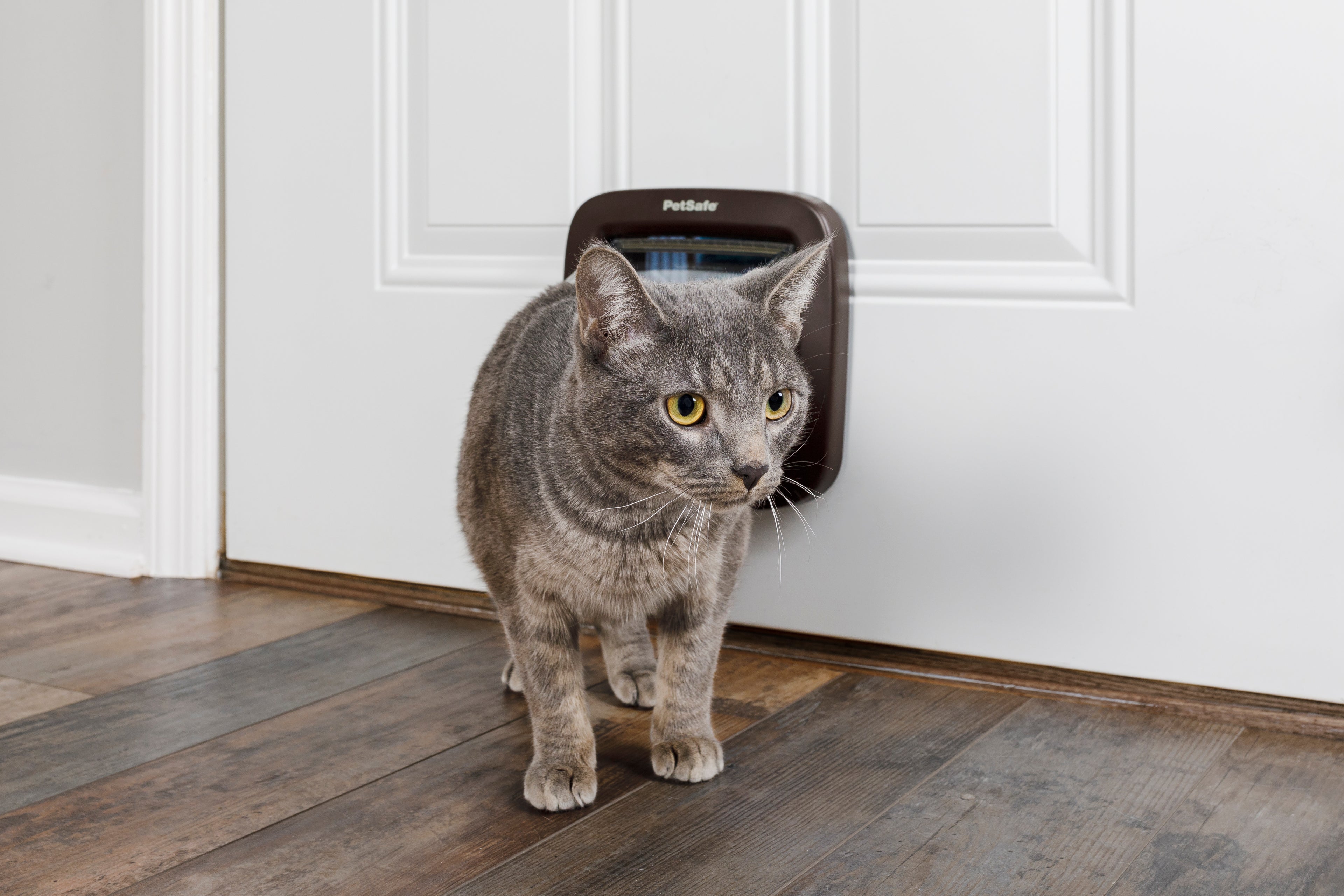 Cat door, 4-way function