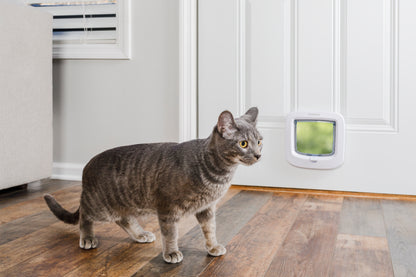 Cat door, 4-way function