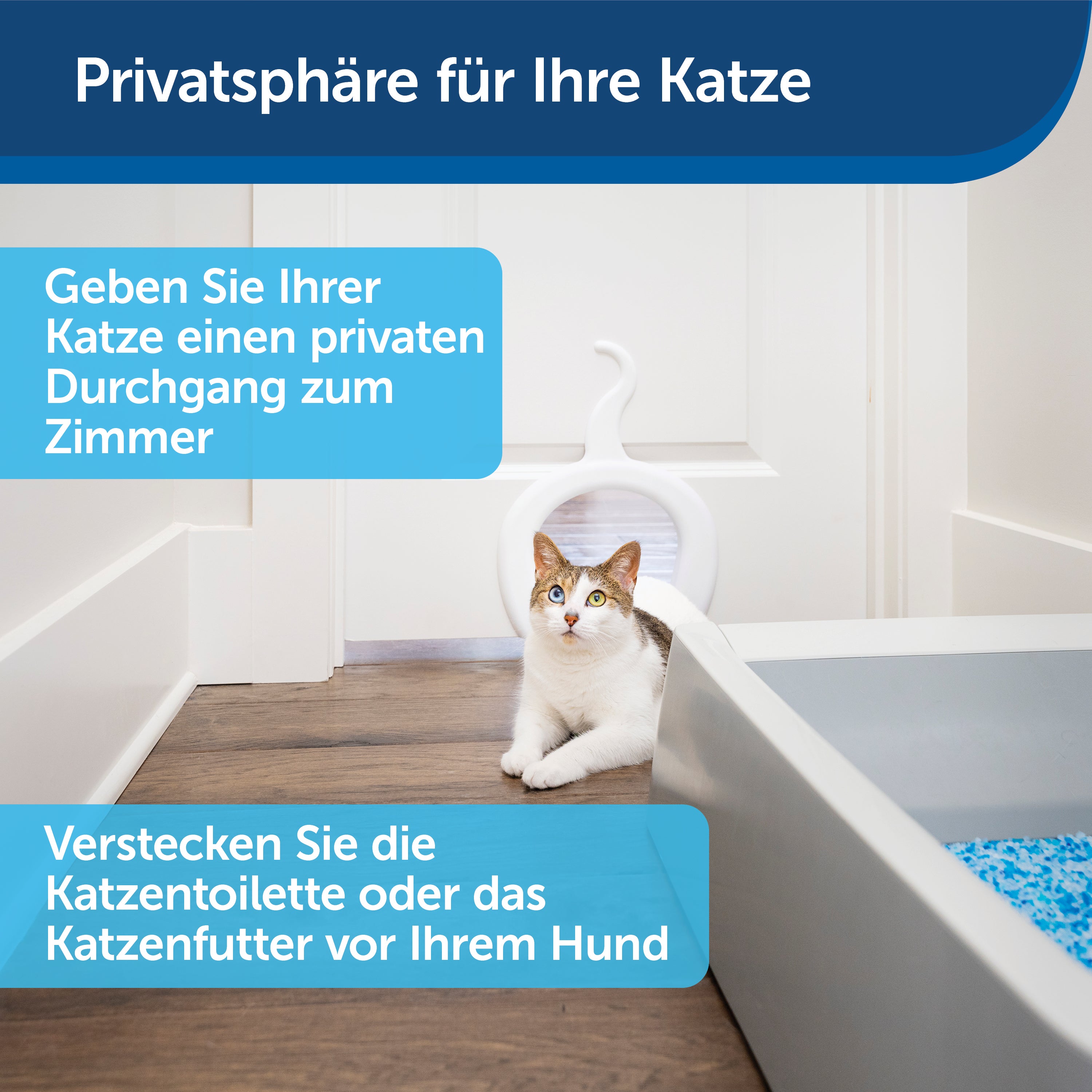 Cat corridor / cat hatch for cats