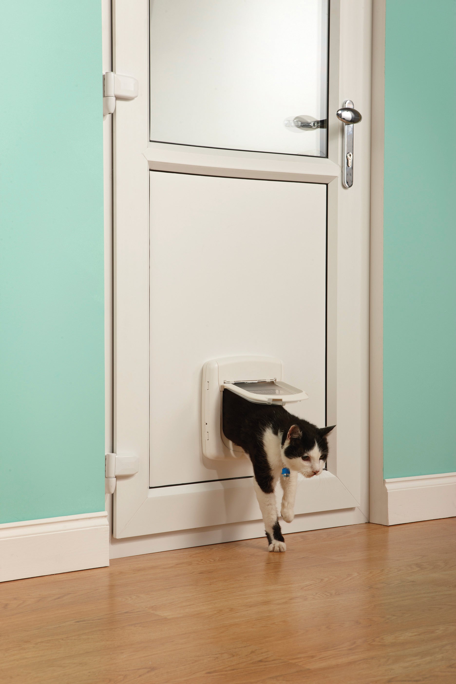 IR cat door white 501