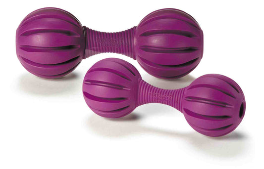 Busy Buddy Waggle, XS/M