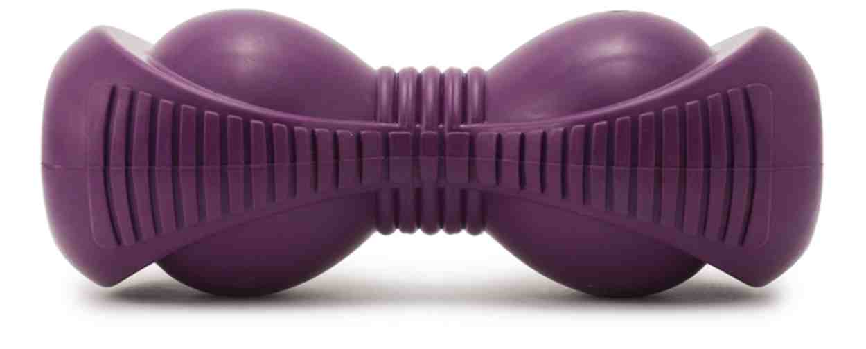 Busy Buddy Squeak 'n Treat Booya S/M/L
