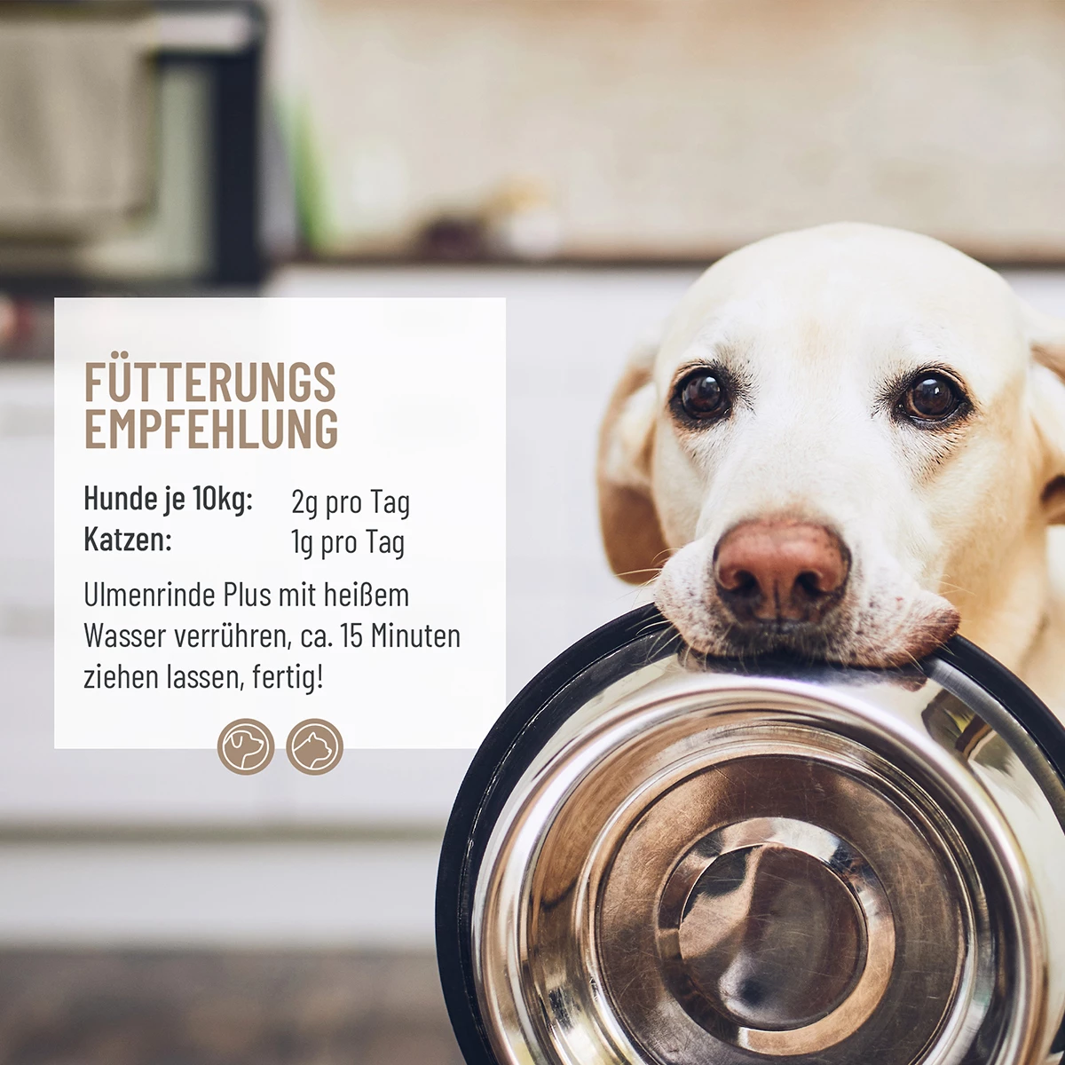 REAVET Ulmenrinde Plus mit Flohsamenschalen für Hunde & Katzen 120g