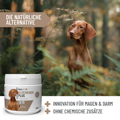 REAVET Ulmenrinde Plus mit Flohsamenschalen für Hunde & Katzen 120g