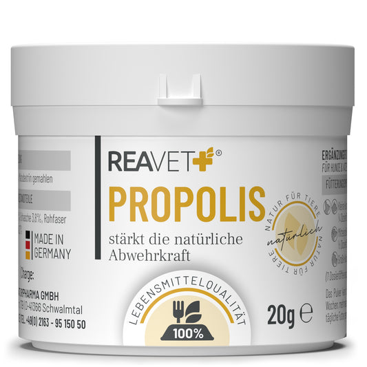 Propolis Extrakt  20g