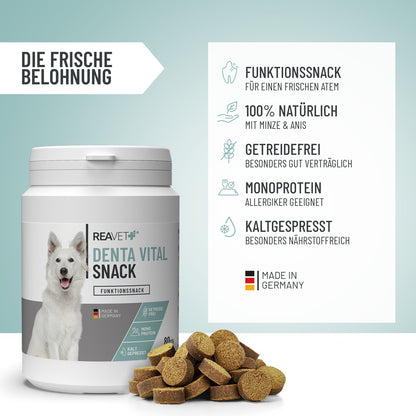 REAVET Denta Vital Snack für Hunde 170g –  mit Minze & Anis