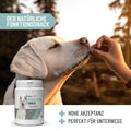 REAVET Denta Vital Snack für Hunde 170g –  mit Minze & Anis