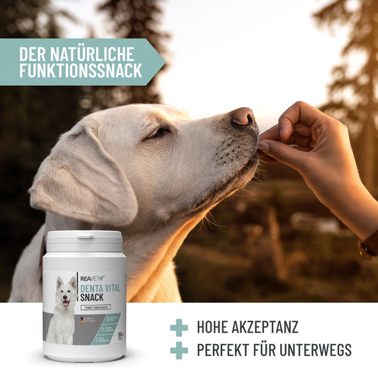 REAVET Denta Vital Snack für Hunde 170g –  mit Minze & Anis