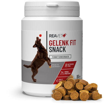 REAVET Gelenk Fit Snacks für Hunde mit Grünlippmuschel & MSM