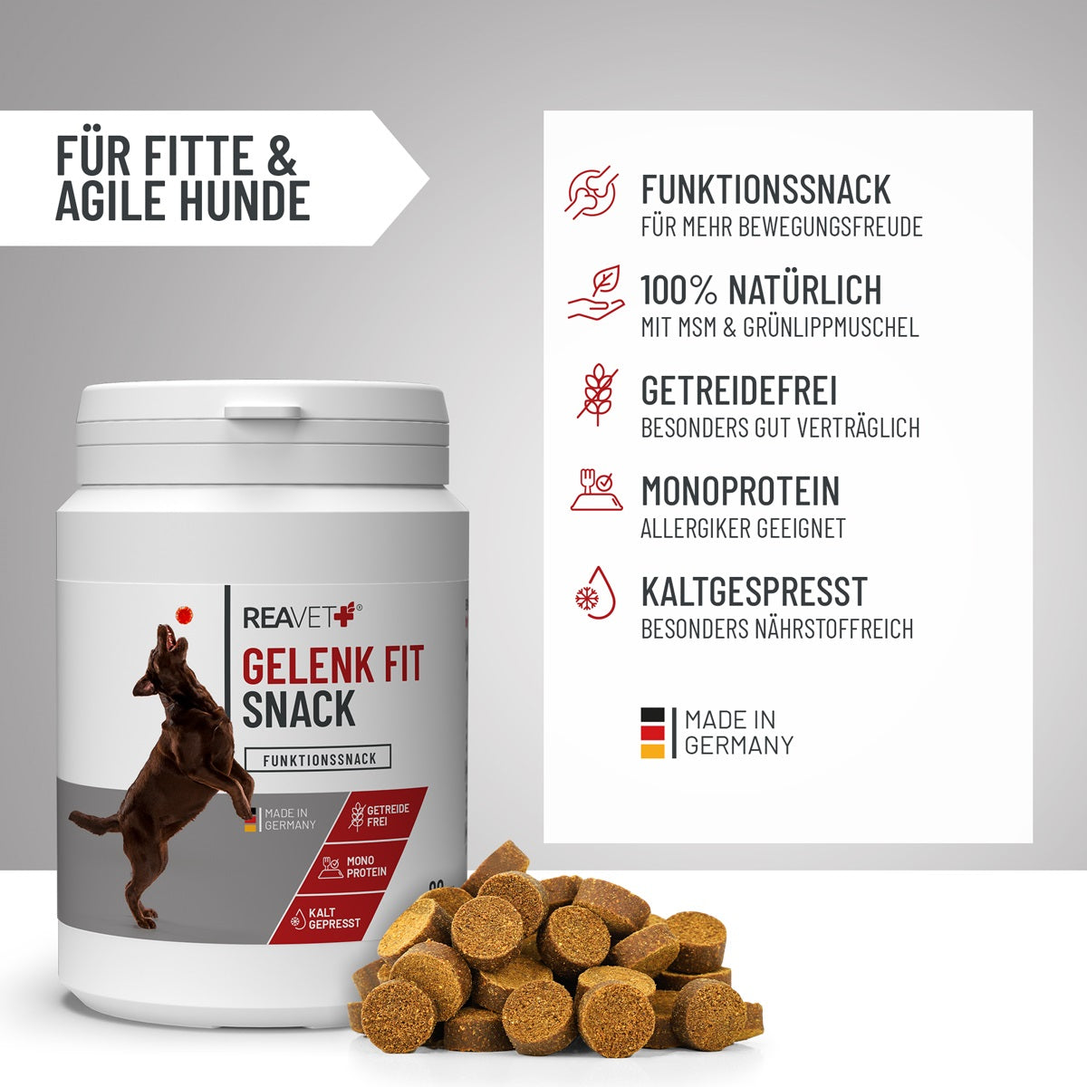 REAVET Gelenk Fit Snacks für Hunde mit Grünlippmuschel & MSM
