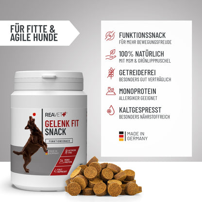 REAVET Gelenk Fit Snacks für Hunde mit Grünlippmuschel & MSM