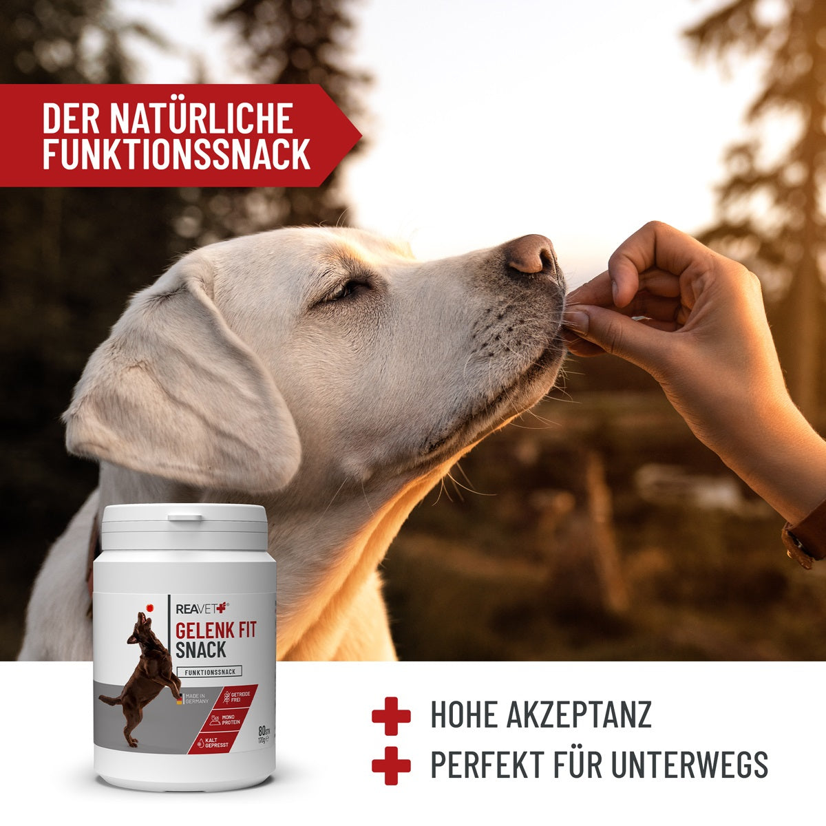 REAVET Gelenk Fit Snacks für Hunde mit Grünlippmuschel & MSM