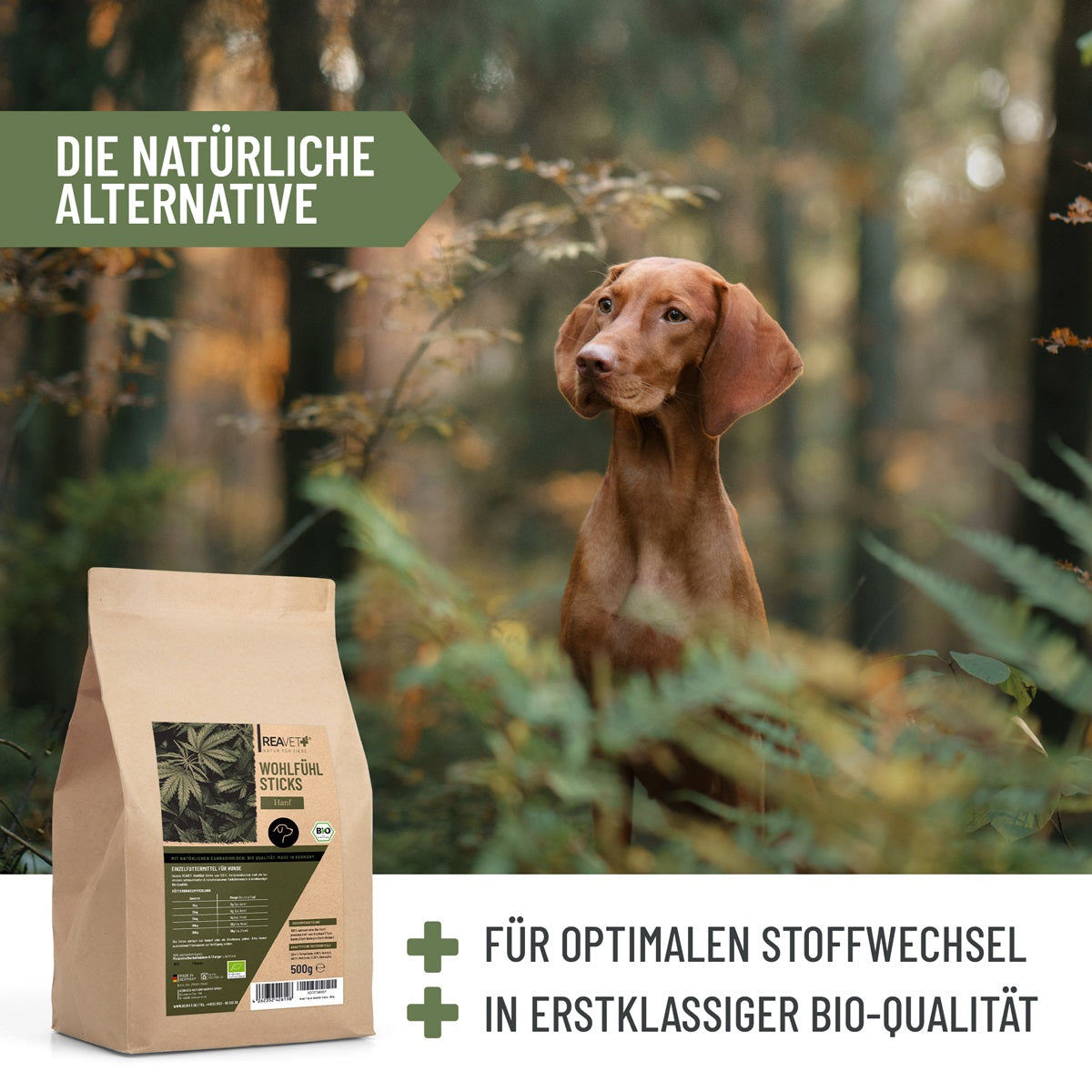 REAVET Hanf Wohlfühl Sticks 500 g