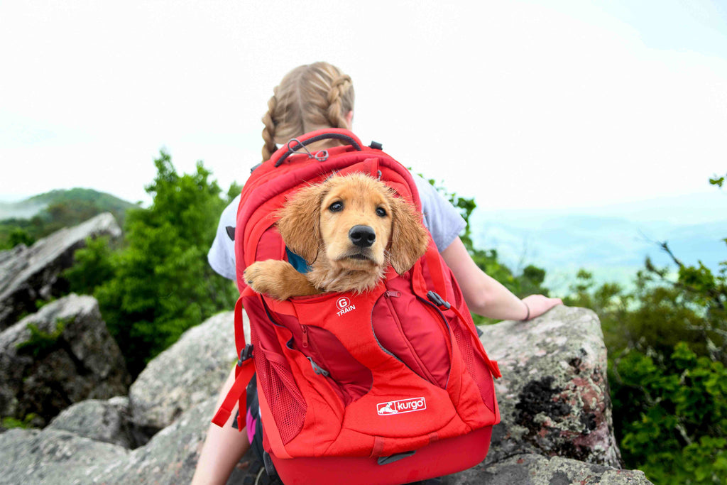 G-Train K9 Rucksack rot