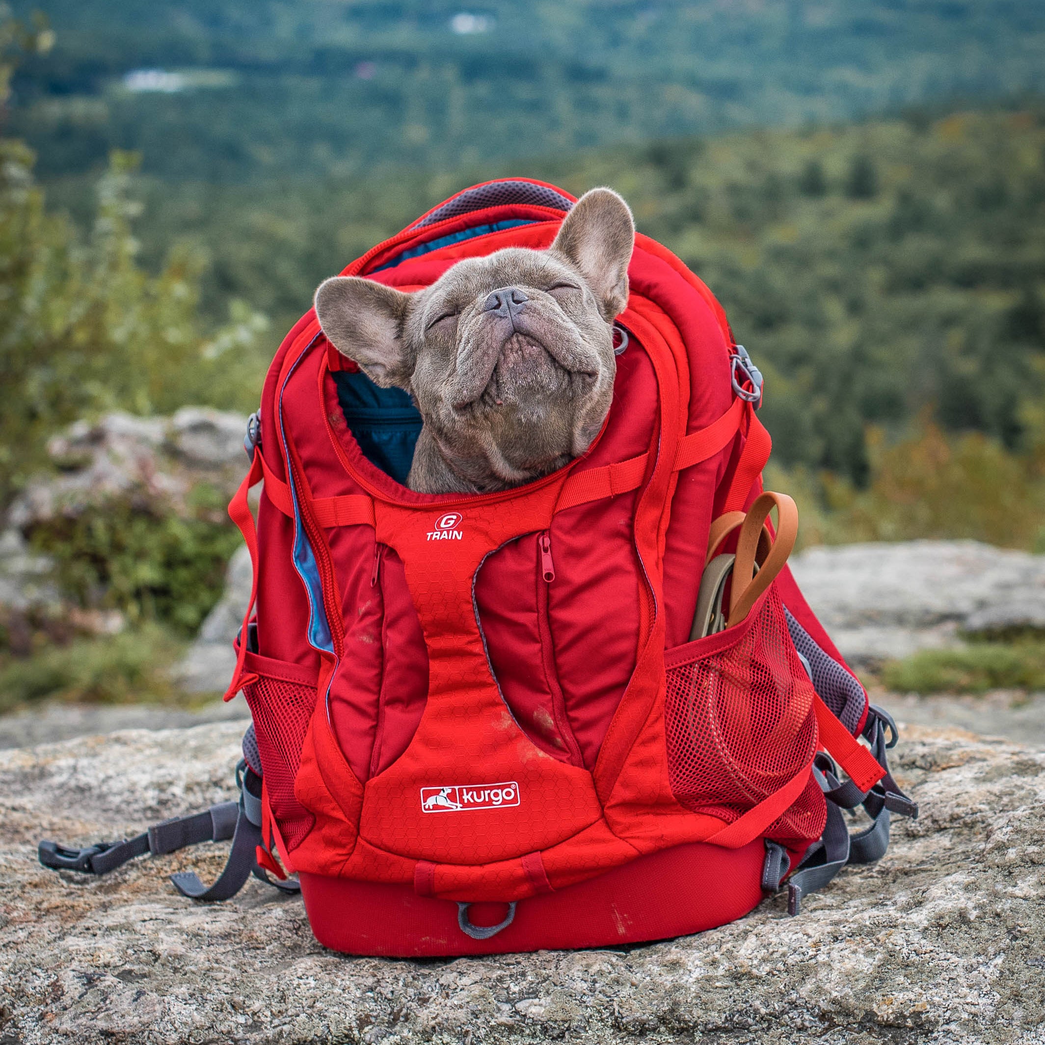 G-Train K9 backpack red