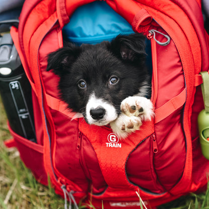 G-Train K9 backpack red