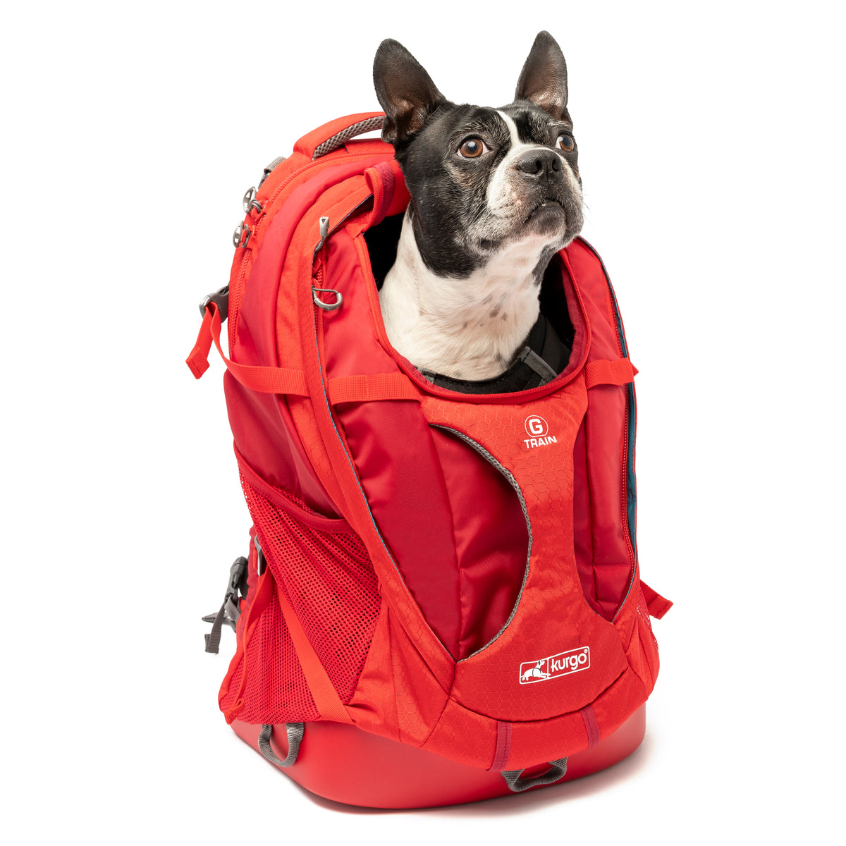 G-Train K9 Rucksack rot