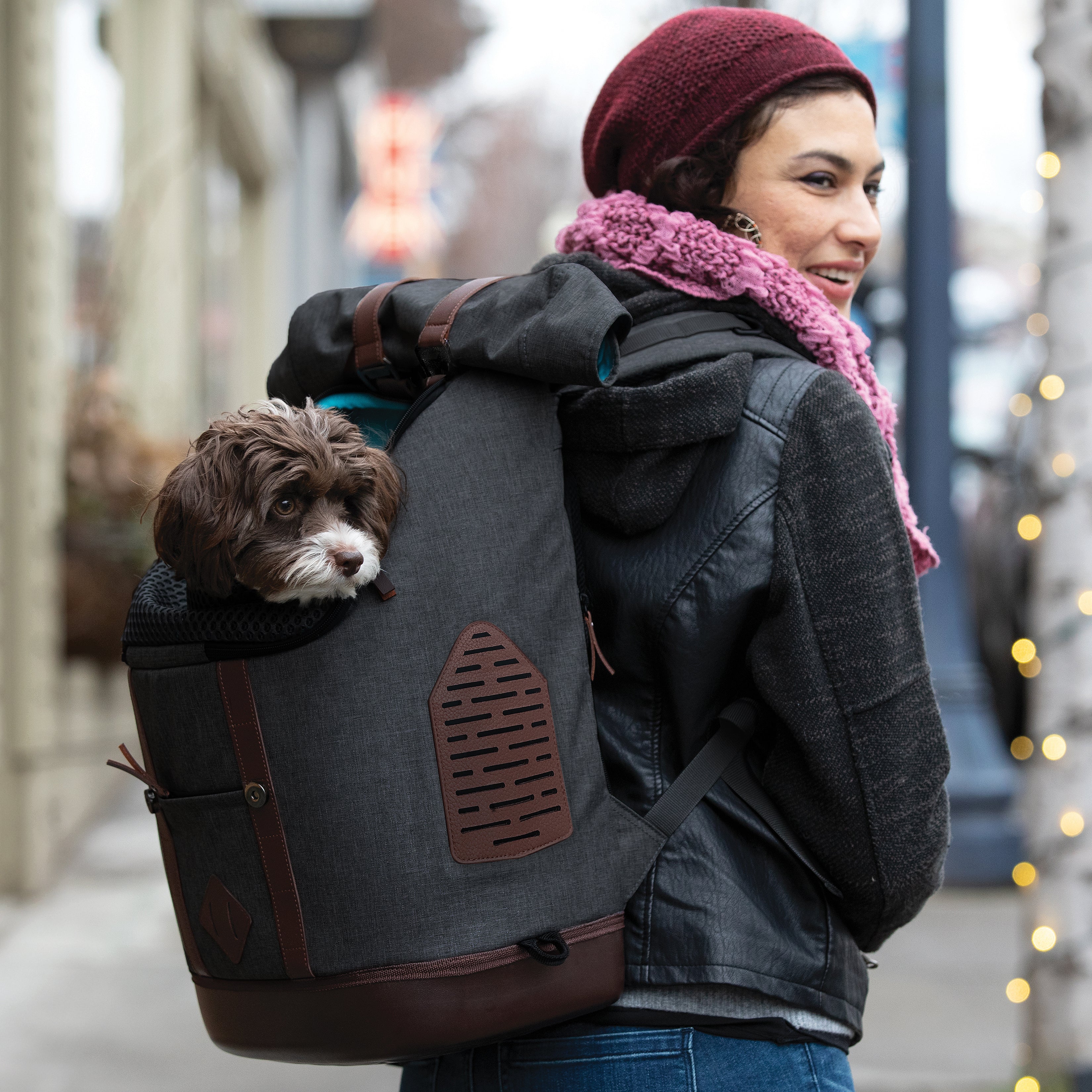 K9 backpack black