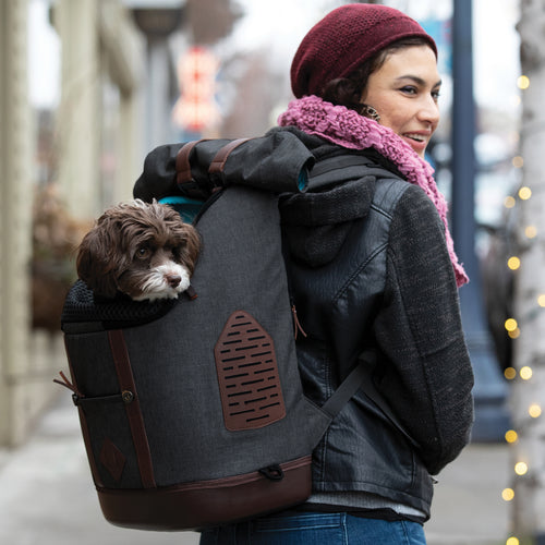 K9 Rucksack schwarz