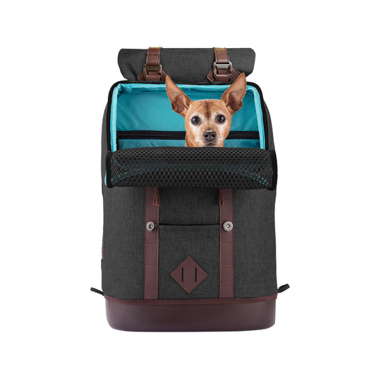 K9 backpack black