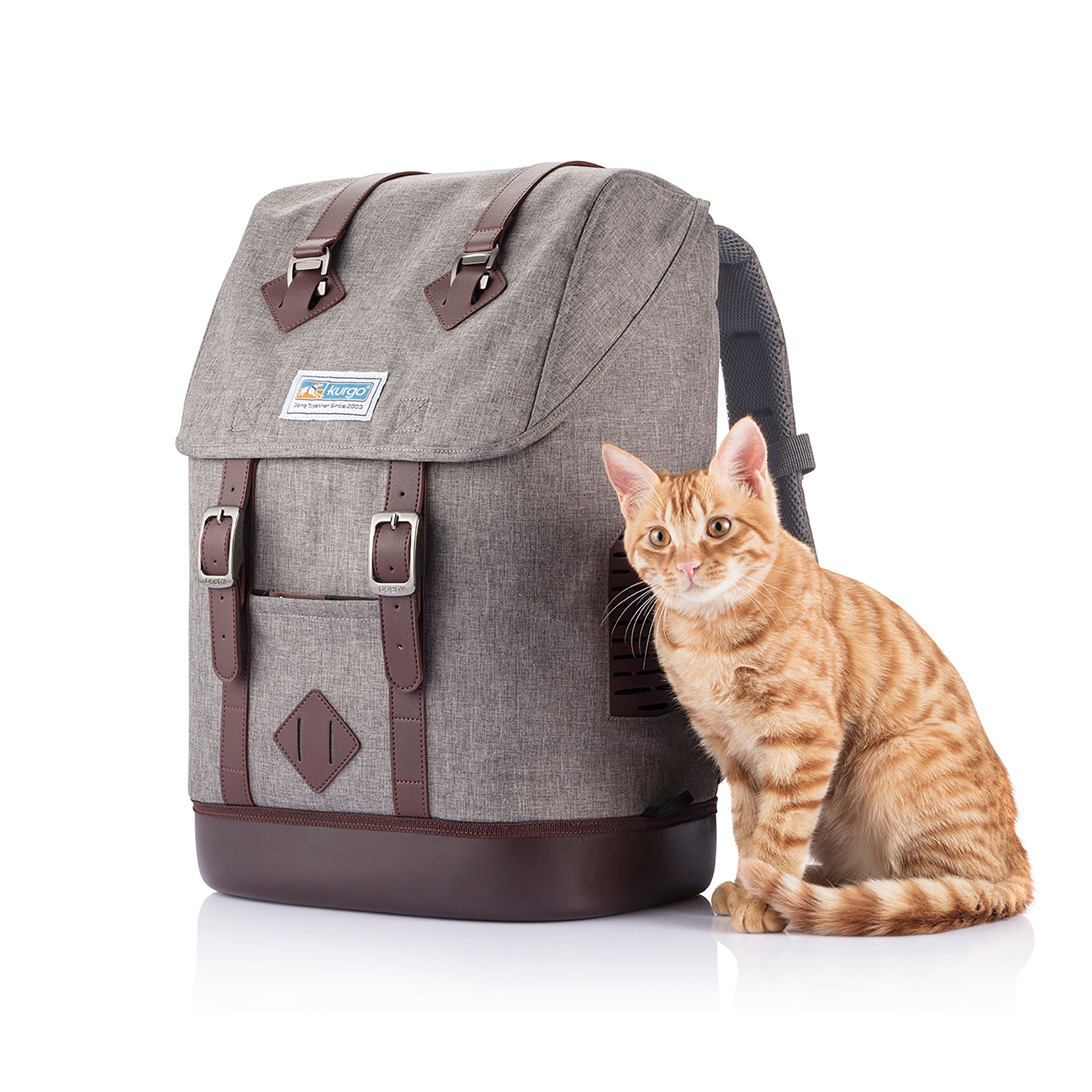 K9 backpack gray