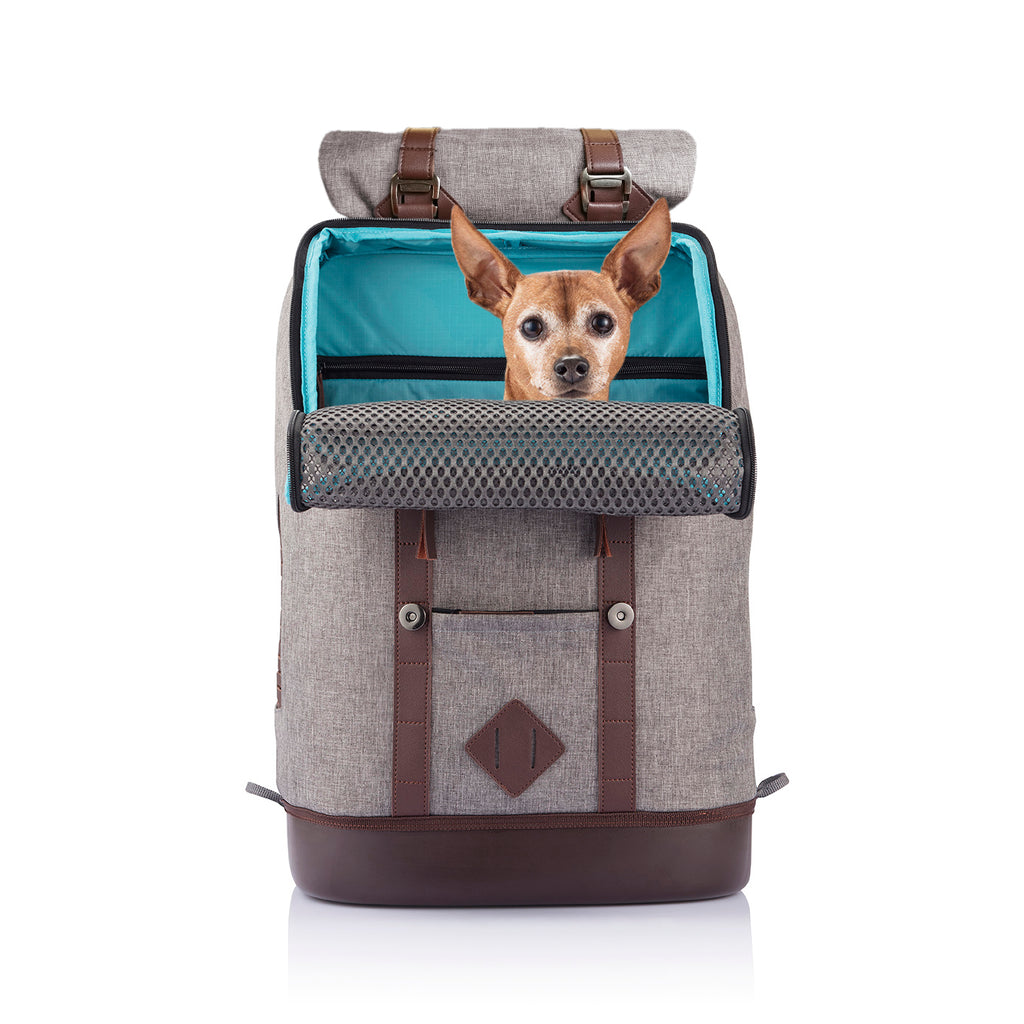 K9 Rucksack grau