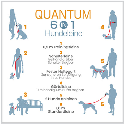 Quantum leash black/orange