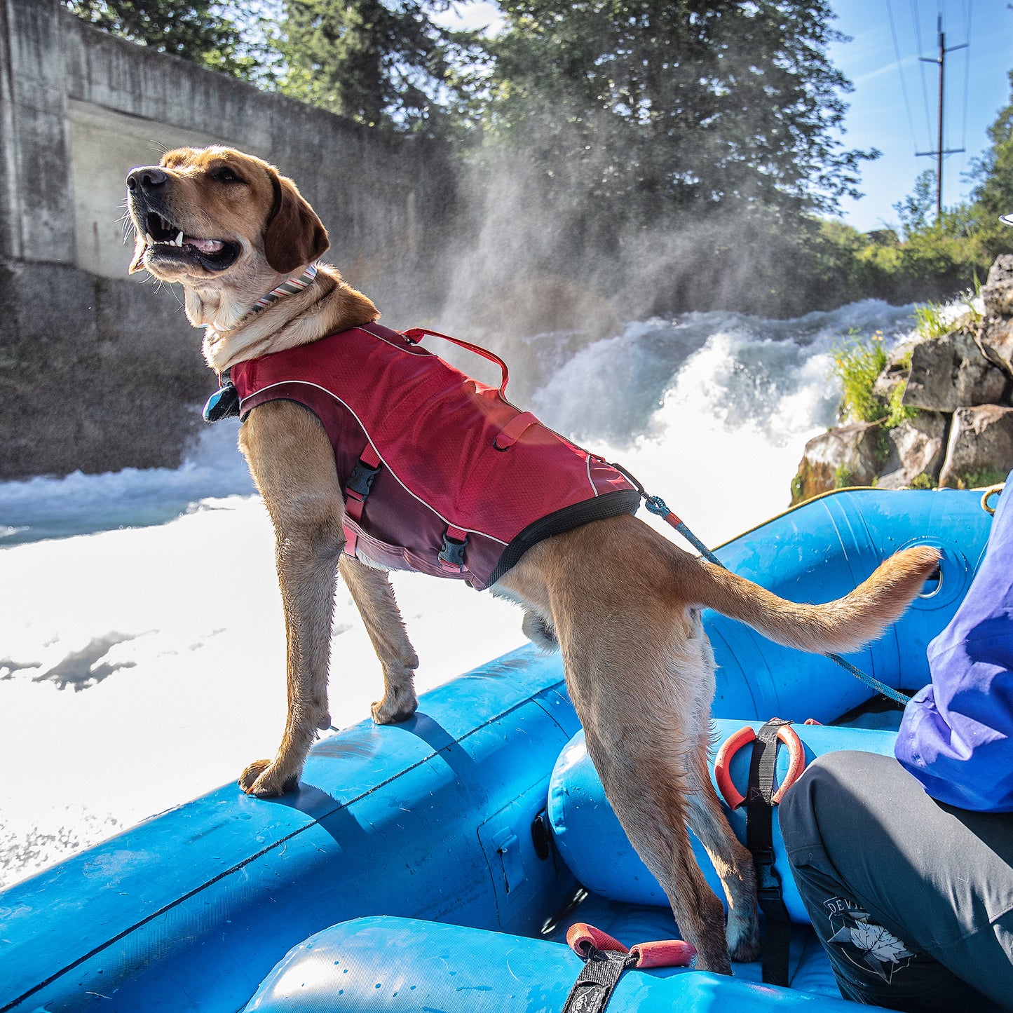 Surf'n'Turf life jacket (XS/S/M/L/XL)