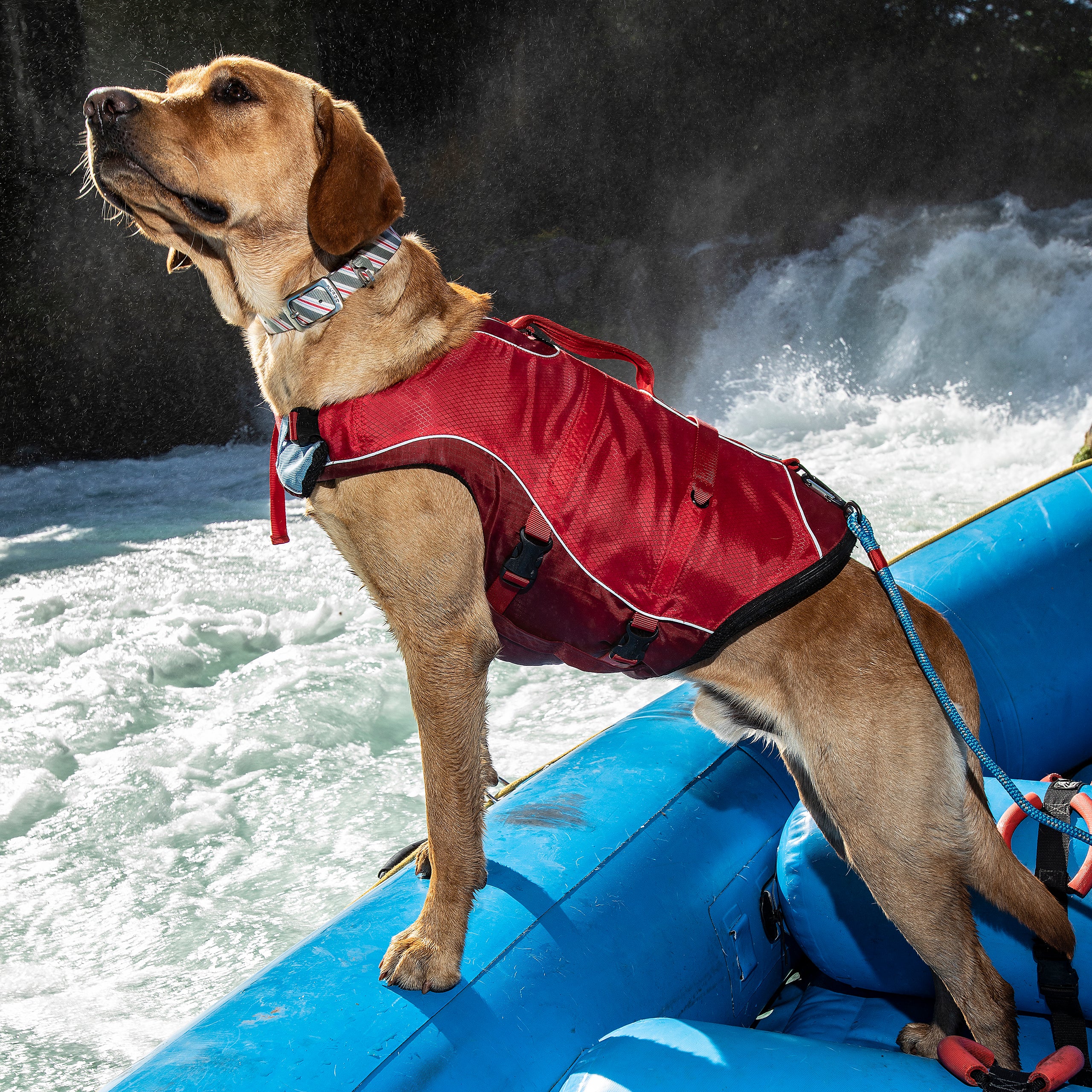 Surf'n'Turf Hundeschwimmweste XS–XL