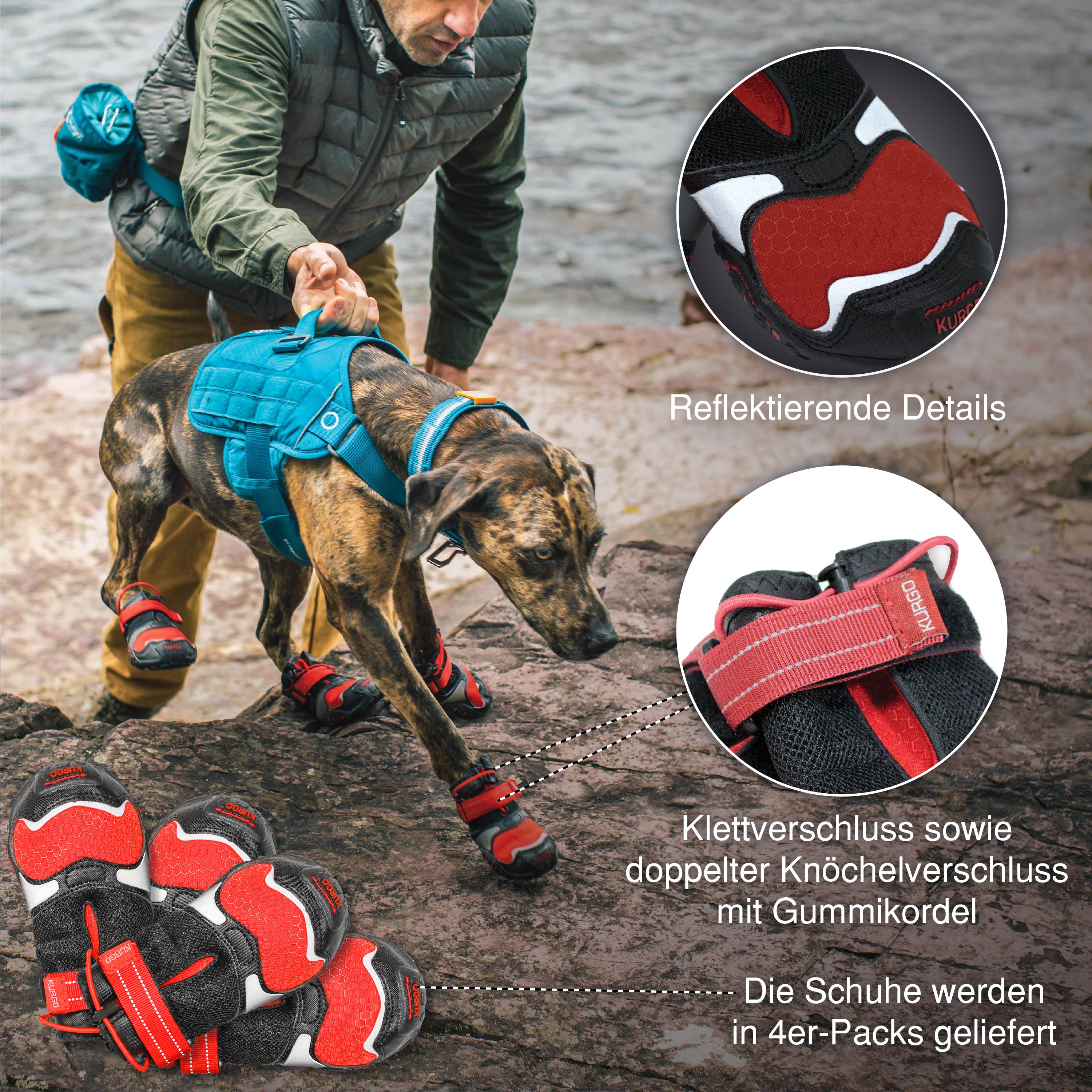 Blaze Hundeschuhe Komplettset – XXS–XL