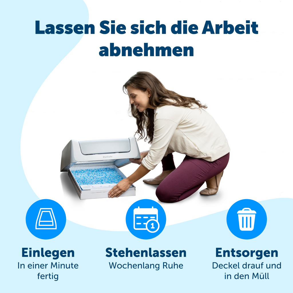 Scoop Free Streu blau (3-Pack) 3 x 2 kg